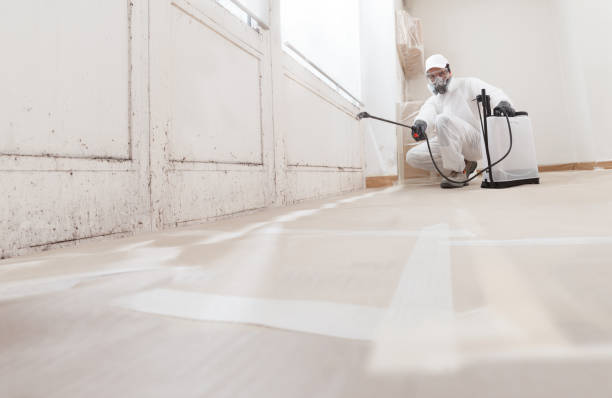 24/7 Emergency Mold Remediation experts in Church Hill, MD